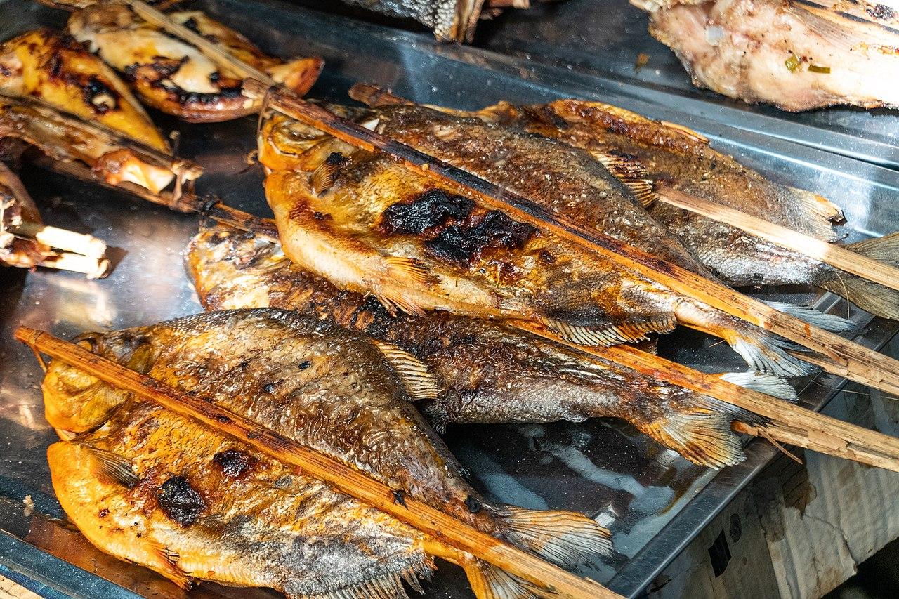 Grilled fish credit PsamatheM